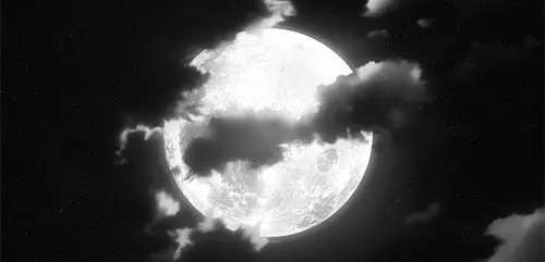 vayro.nx